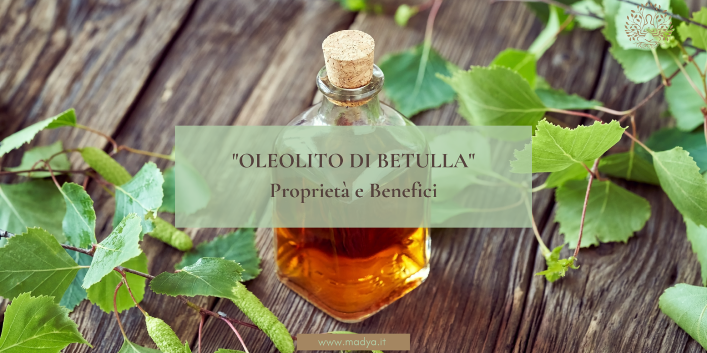 Oleolito di Betulla: proprietà e benefici