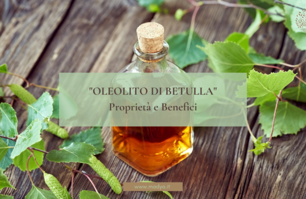 Oleolito di Betulla: proprietà e benefici