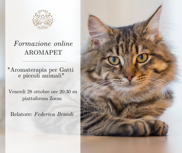 Masterclass Aromapet: "Aromaterapia per gatti e piccoli animali"