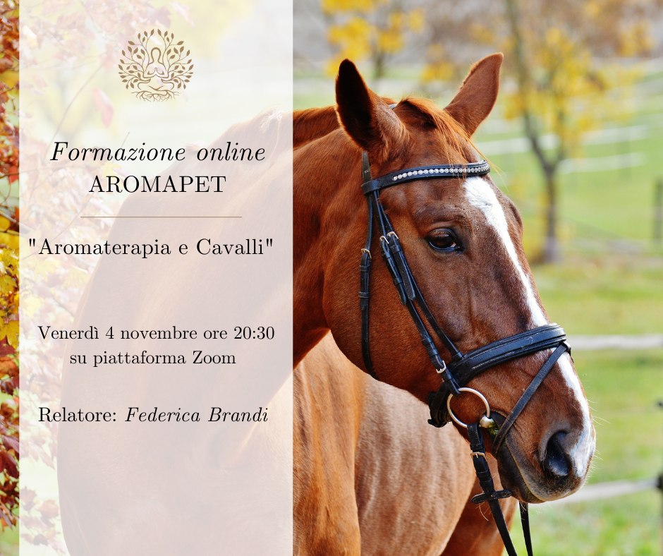 Masterclass Aromapet: "Aromaterapia e cavalli"