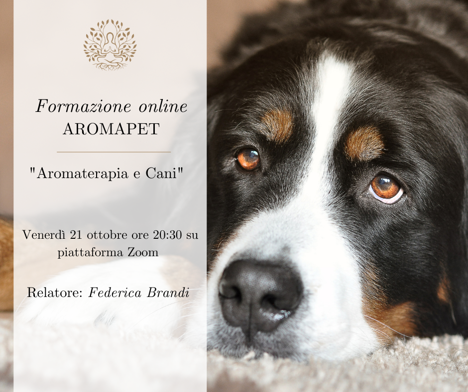 Corso Aromapet: "Aromaterapia e cani"