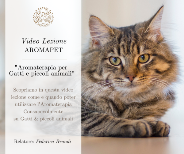 Videolezione AromaPet - Gatti & piccoli animali