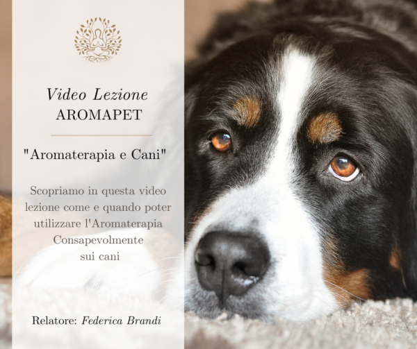 Videolezione AromaPet - Cani